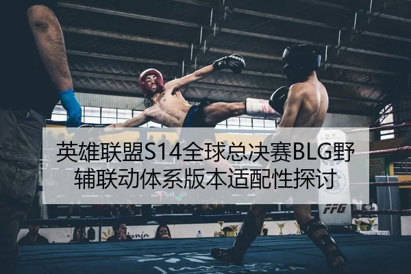 英雄联盟S14全球总决赛BLG野辅联动体系版本适配性探讨